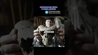 Найдены инопланетные черепа и сундук Аненербе #шортс