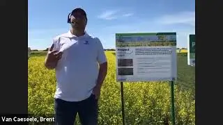 Corteva Agriscience Prospect™ Pre-Seed Herbicide | Corteva Agriscience Canada