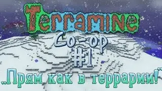 Terramine [co-op] #1: 