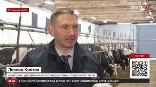 В Ленобласти стартовали весенние противоэпизоотические мероприятия