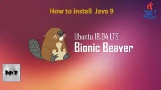 How to install Oracle Java 9 JDK on Ubuntu 18.04