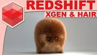 Redshift Xgen Hair/Fur Tutorial