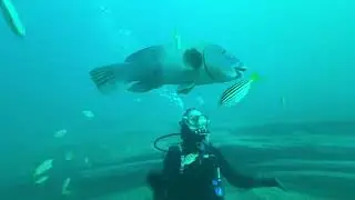 Scuba Diving at Oak Park - February 2024