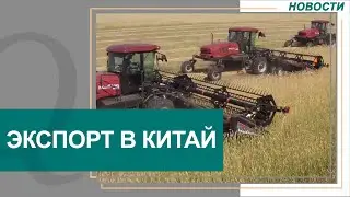 Увеличился экспорт казахстанских продуктов в Китай. Новости Qazaq TV