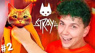 Секретные книги в СТРЕЙ 🐈 2 часть 🐈 СИМУЛЯТОР КОТА 🐈 Stray #2