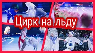 Цирк на льду Айсберг 🏔️/Колесо смелости 🌀/ Краснодар 🤡