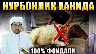 2023 Курбонлик хакида фазилатлари ва коидалари Нуриддин хожи домла →