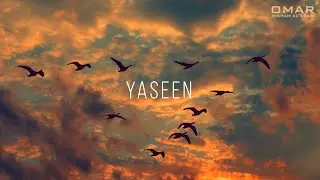 Surah Yaseen سورة يس (Powerful) Omar Hisham عمر هشام العربي