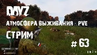 DayZ. Атмосфера Выживания - PVE. Тестируем BARRETT M82 и гонки по бездорожью. #63.