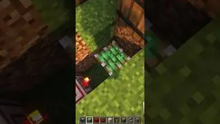 Secret Chest in Minecraft🤫