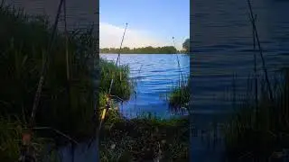 наконец выбрался на рыбалку 🔥👍