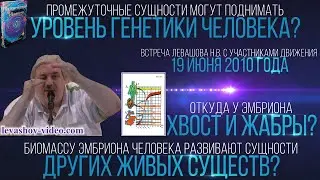 Для поднятия генетики до сущности высокого уровня - приходят буферные сущности (Левашов Н.В.)