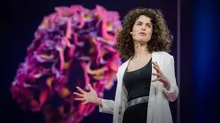 Design at the Intersection of Technology and Biology | Neri Oxman | TED Talks