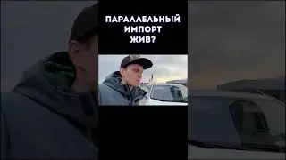 Параллельный импорт. Везем Audi. Полная инструкция по растаможке