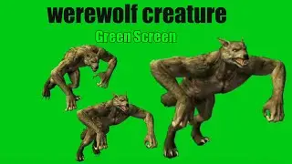 Werewolf green screen | Werewolf green screen effects | Wolf Monster Green Screen Effect Running