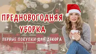 Мотивация на уборку | Предновогодняя уборка 2022 | часть 1