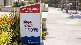 Duval County elections office warns of fake vote guides, urges voters to research candidates