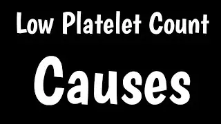 Low Platelet Count | Thrombocytopenia | Causes Of Low Platelet Count |