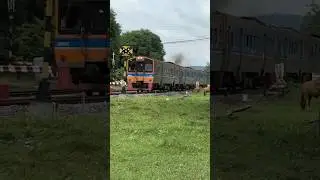 Epic Train Passing Through Stunning Scenery.   #TrainJourney #StunningScenery #NatureViews #thailand