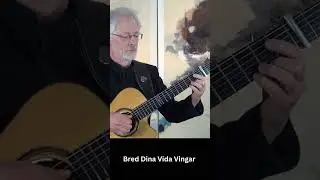 Bred Dina Vida Vingar (trad. from Sweden) #fingerstyleguitar #guitar#fingerstyle #acousticguitar