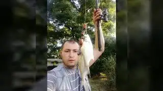 Изготовление и рецепт ТЕХНОПЛАНКТОНА.
