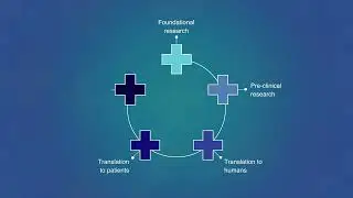 Med’s clinical and translational (CAT) scale