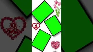 New Wedding green screen background effects ||  Green Screen Background Effects #shortvideo #shorts