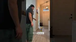 The toy ran after me again 