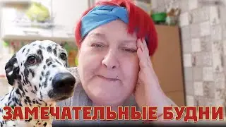 ЗАМЕЧАТЕЛЬНЫЕ БУДНИ ЗАМЕЧАТЕЛЬНОЙ ЖЕНЩИНЫ