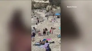 Sea lions charge La Jolla Cove visitors during pupping season