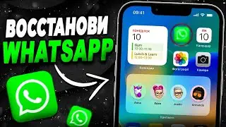 Как восстановить WhatsApp на iPhone