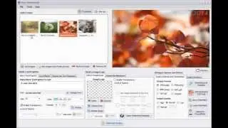 How to Watermark and Optimize Photos for Web