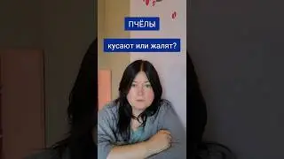 Пчелы кусают или жалят? Вы удивитесь 