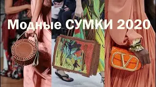 Модные СУМКИ 2020. Обзор сумок. | Best bags 2020