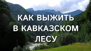 По закону гор: как выжить в лесах Кавказа