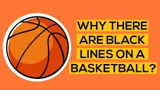 Why There Are Black Lines On A Basketball?