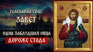 Божья радость: почему заблудшая овца дороже послушного стада? | Телеканал Спас | Завет