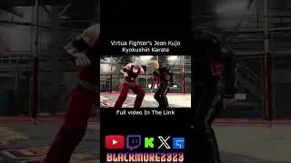 Virtua Fighter's Edgy Kyokushin Karate Assassin     