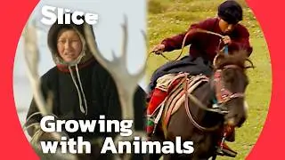 Mustang Horse Races to Arctic Reindeer Herds: Nima and Edik's Journey with Their Animals | SLICE