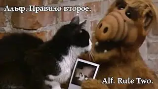 Alf. Rule Two. Альф. Правило второе. 
