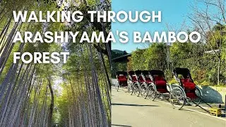 京都。嵐山。A Time Warp in Kyoto: Arashiyama Adventure