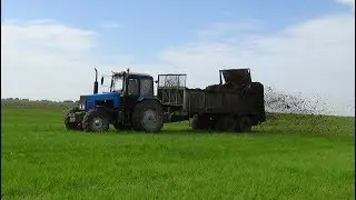 Вывоз органики с фермы и разбрасывание(МТЗ 1221,82,Амкодор 332С)