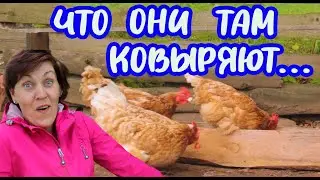 Кормушка для кур своими руками, будут ли куры из нее есть? Не успели поставить как...