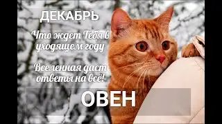 ♈ОВЕН. ДЕКАБРЬ. ЧТО ЖДЕТ ТЕБЯ В УХОДЯЩЕМ ГОДУ. ВСЕЛЕННАЯ ДАСТ ОТВЕТЫ НА ВСЕ!