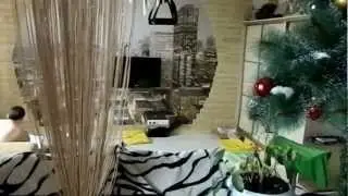 кошка носит мышь