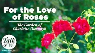 For the Love of Roses 🌹 Talk & Tour: Rose Garden of Charlotte Owendyk 🌹 California Rose Garden