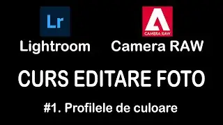 Tutorial - Curs editare foto Lightroom & Adobe Camera Raw - Partea 1 - Profilele de culoare