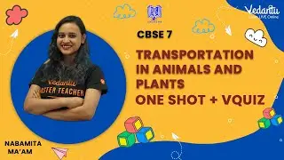 Transportation in Animals and Plants -  | One Shot + VQuiz | Nabamita Ma'am |Vedantu Young Wonders