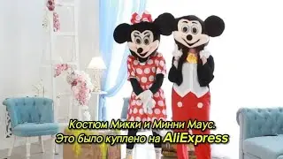 Mickey and Minnie Mouse costume. That was purchased on AliExpress