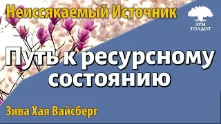 Урок для женщин. Путь к ресурсному состоянию. Зива Хая Вайсберг